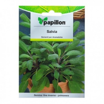 Aromatic Sage Seeds (1 gram)