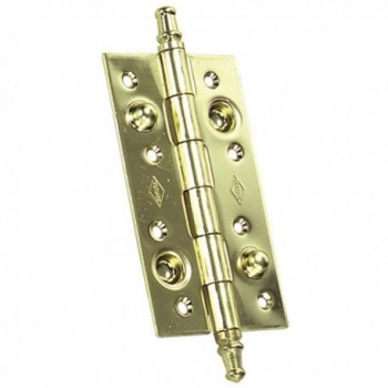 Brass Plated Security Hinge...
